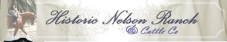 Sacramento California Horse Boarding Historic Nelson Ranch in Woodland